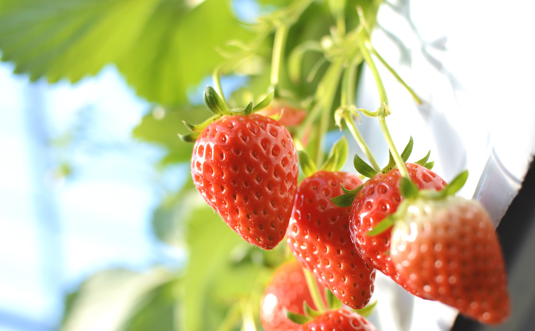 2026年2月の四季旅物語