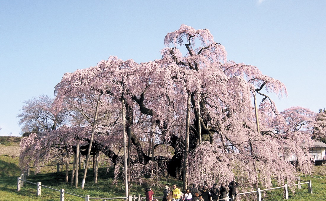2026年4月の四季旅物語