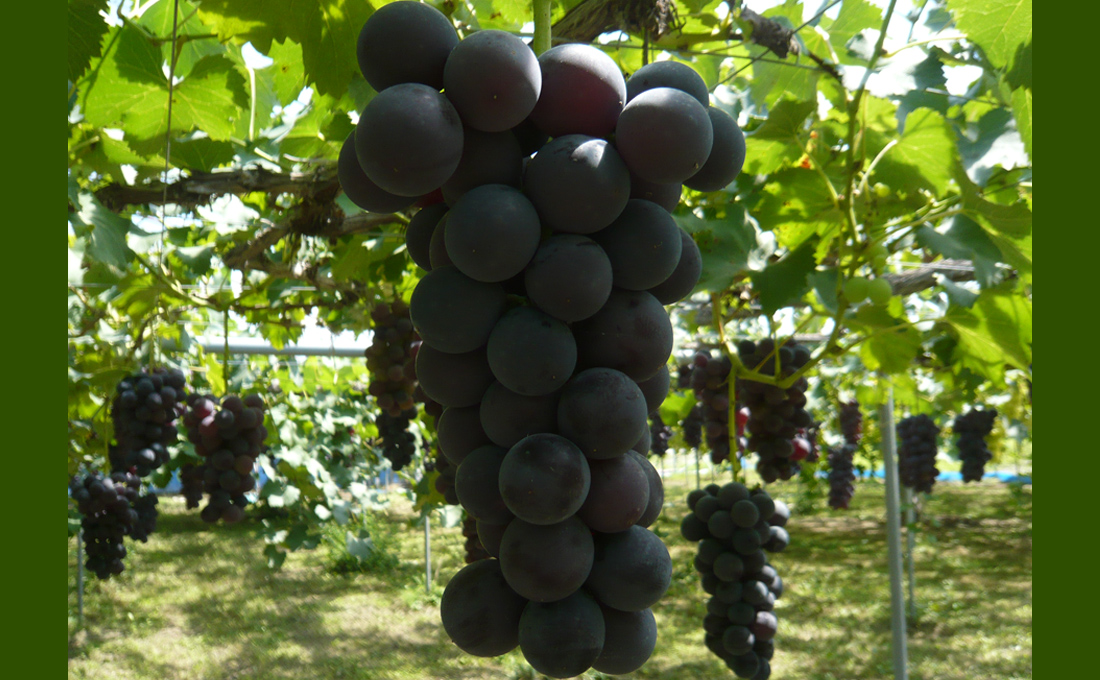 2024年9月の四季旅物語