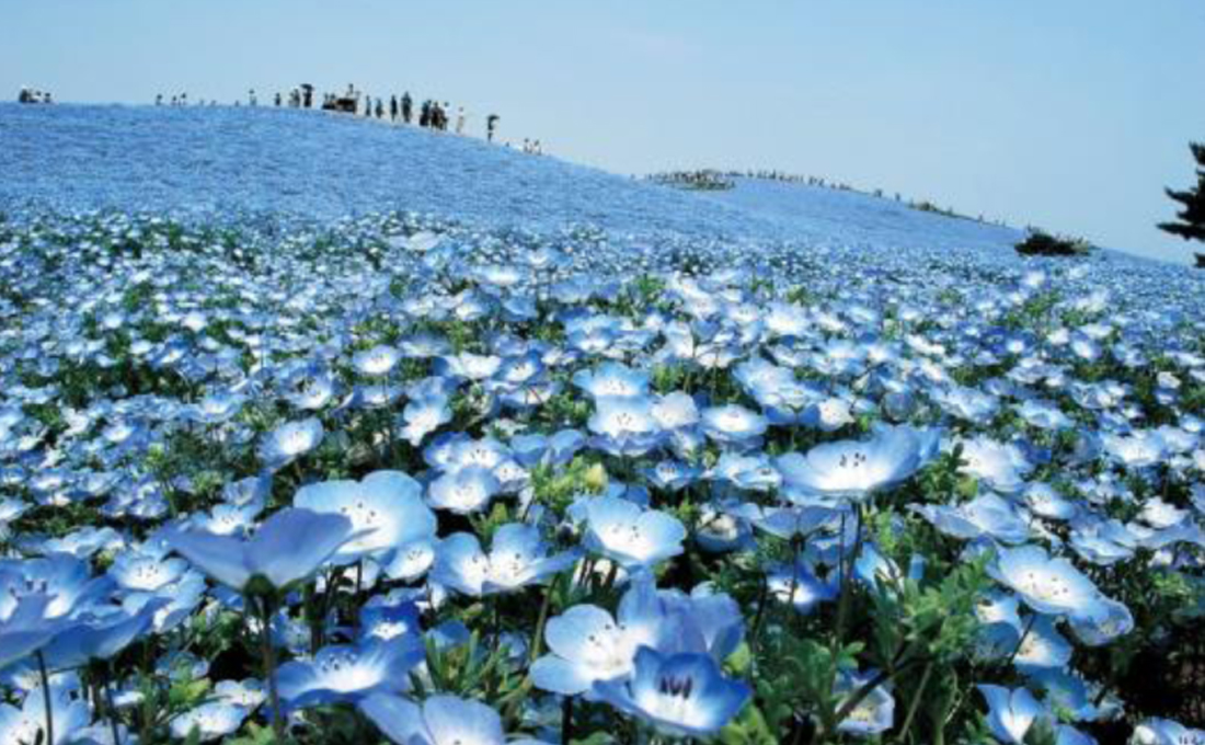 2026年4月の四季旅物語