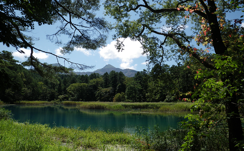 五色沼湖沼群（毘沙門沼）