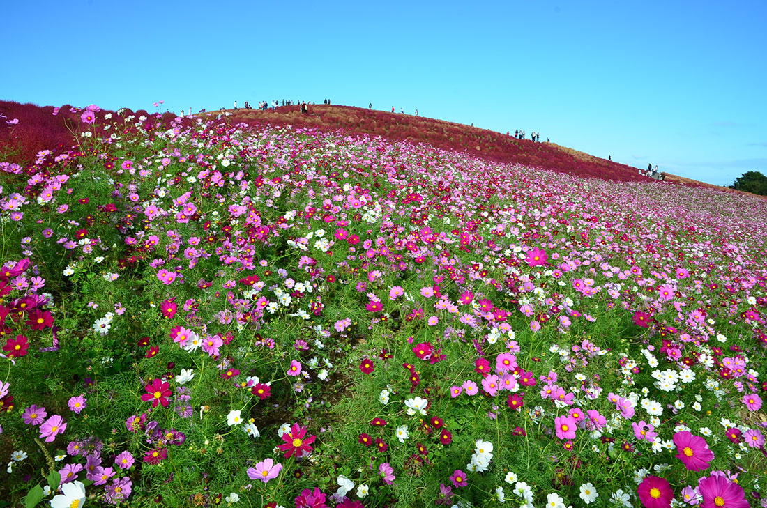 2025年10月の四季旅物語