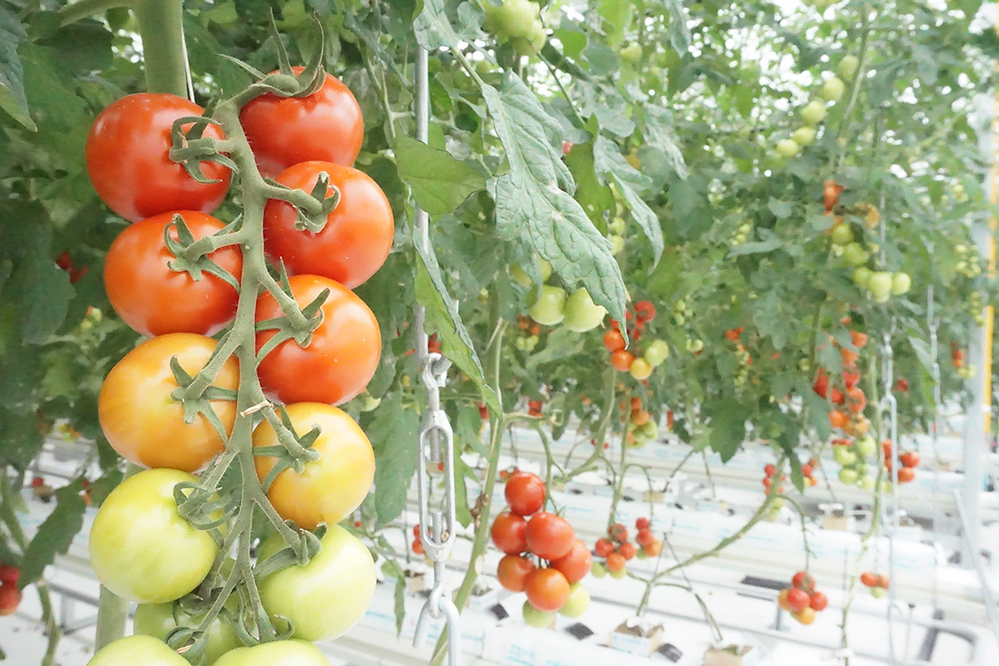 2025年12月の四季旅物語